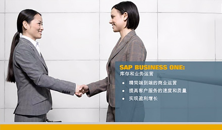 SAP Business One庫存和業(yè)務(wù)運營